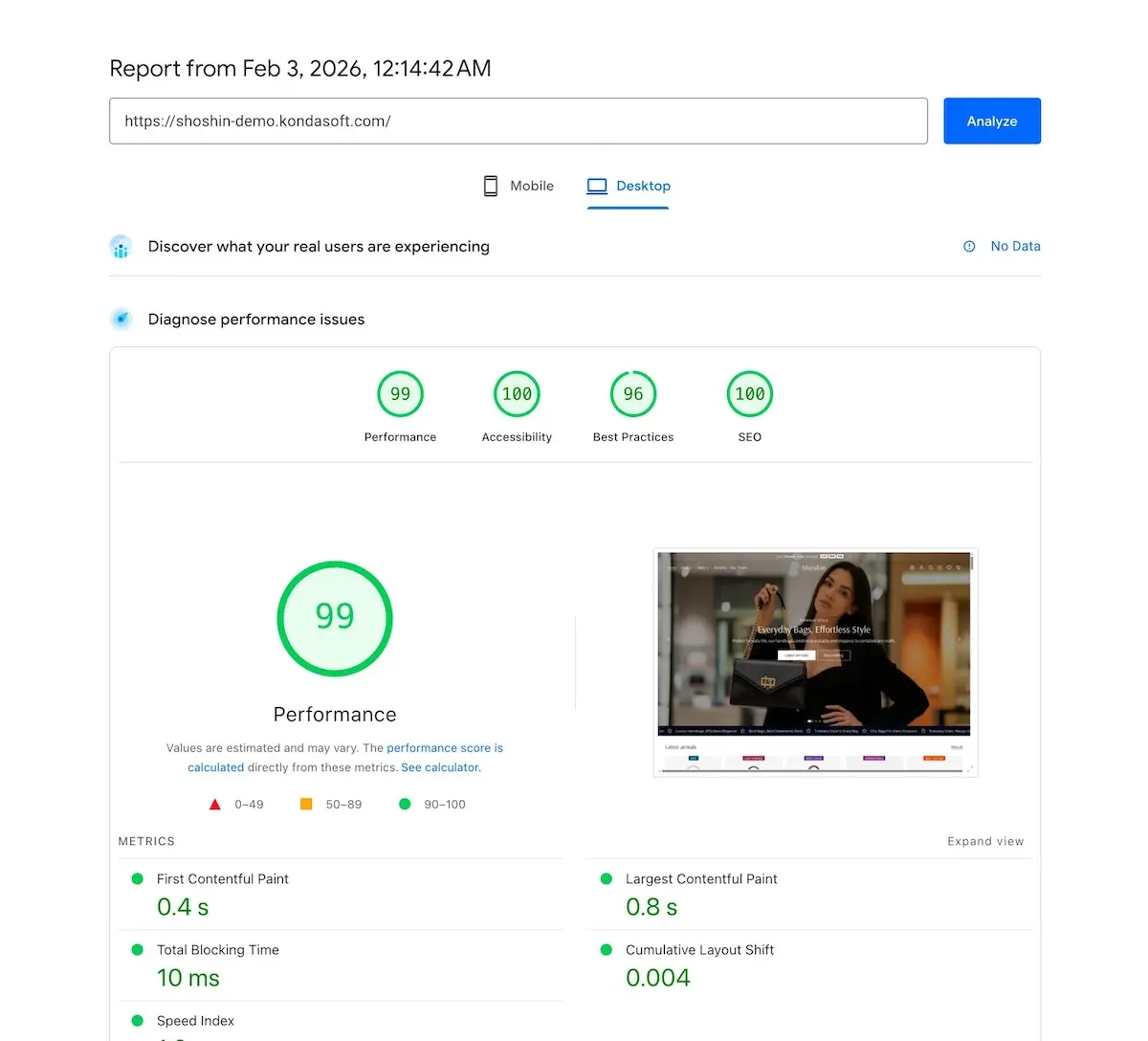 Google PageSpeed results for the Shoshin demo store